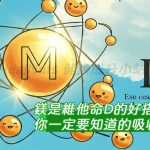 鎂是維他命D的好搭檔？ 你一定要知道的吸收關鍵！