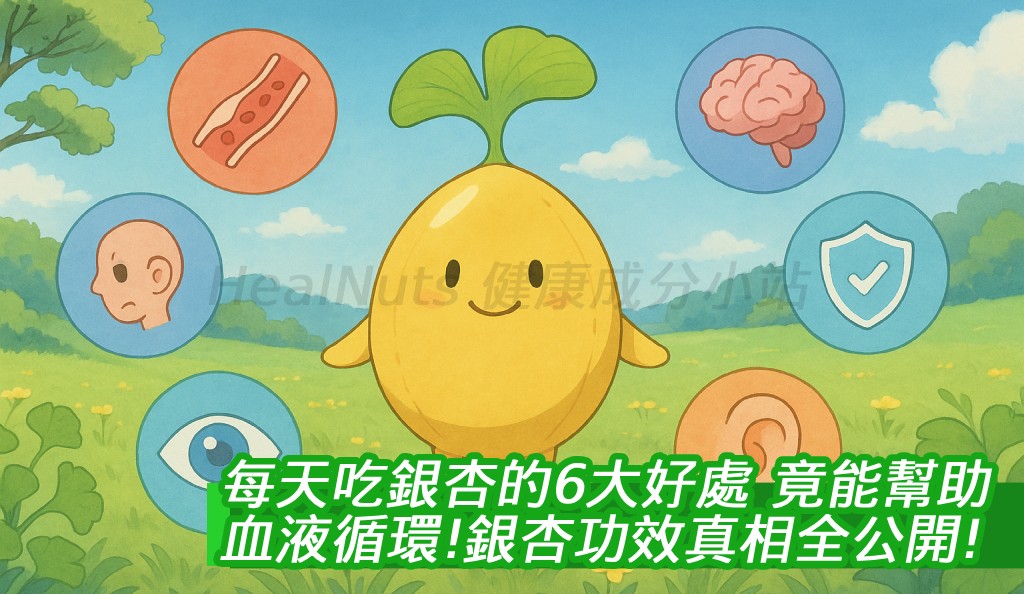 每天吃銀杏的6大好處，第1點竟能幫助血液循環！網友熱搜「銀杏功效」真相全公開！