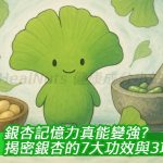 【銀杏記憶力真能變強？】揭密銀杏的7大功效與3項副作用