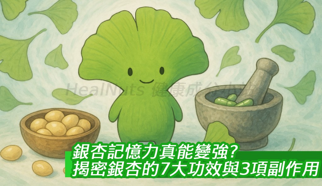 【銀杏記憶力真能變強？】揭密銀杏的7大功效與3項副作用