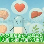 不只延緩老化！亞精胺對大腦、心臟、肝臟的3重保護力揭秘