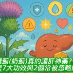 水飛薊(奶薊)真的護肝神藥？揭密7大功效與2個常被忽略的副作用！