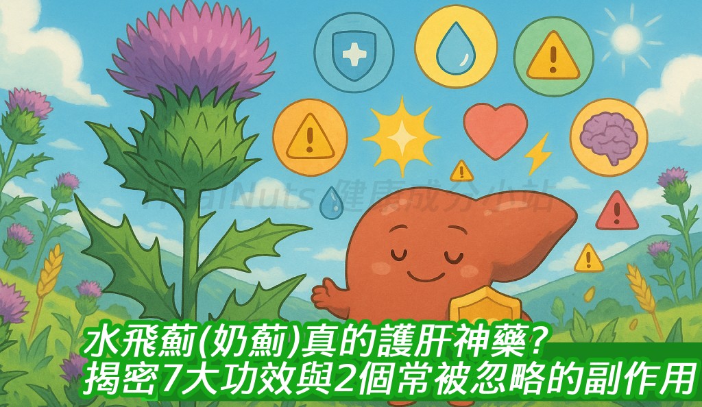 水飛薊(奶薊)真的護肝神藥？揭密7大功效與2個常被忽略的副作用！