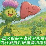 最夯保肝王者成分水飛薊為什麼能打敗薑黃和綠茶？