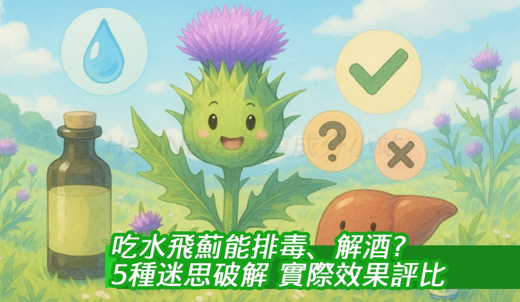 護肝草王水飛薊能排毒、解酒？5種迷思破解＋實際效果評比！