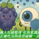 懶人包總整理：花青素護眼的27種正確吃法與迷思破解一次看懂！