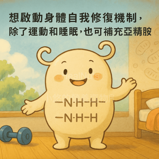 想啟動身體自我修復機制，除了運動和睡眠，補充亞精胺或從飲食中獲取，也是一種支持自噬作用的方式！