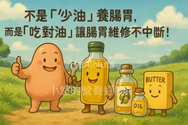 不是「少油」養腸胃，而是「吃對油」讓腸胃維修不中斷！