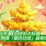 每天吃銀杏的6大好處，第1點竟能幫助血液循環！網友熱搜「銀杏功效」真相全公開！