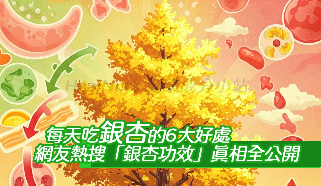 每天吃銀杏的6大好處，第1點竟能幫助血液循環！網友熱搜「銀杏功效」真相全公開！