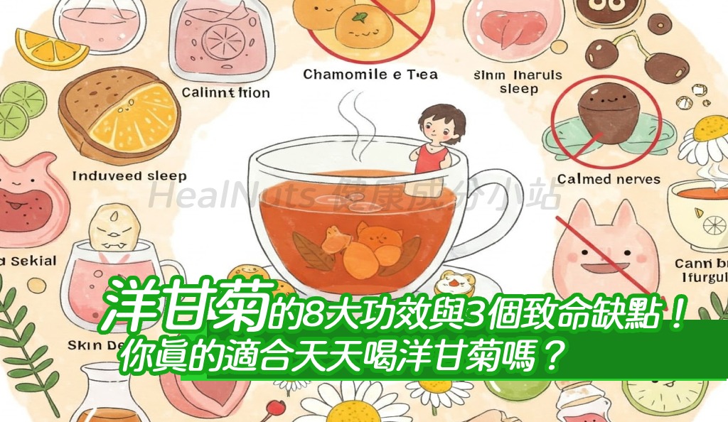 洋甘菊的8大功效與3個致命缺點！你真的適合天天喝洋甘菊嗎？