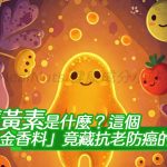 薑黃是什麼？這個「黃金香料」竟藏抗老防癌的秘密神奇功效！