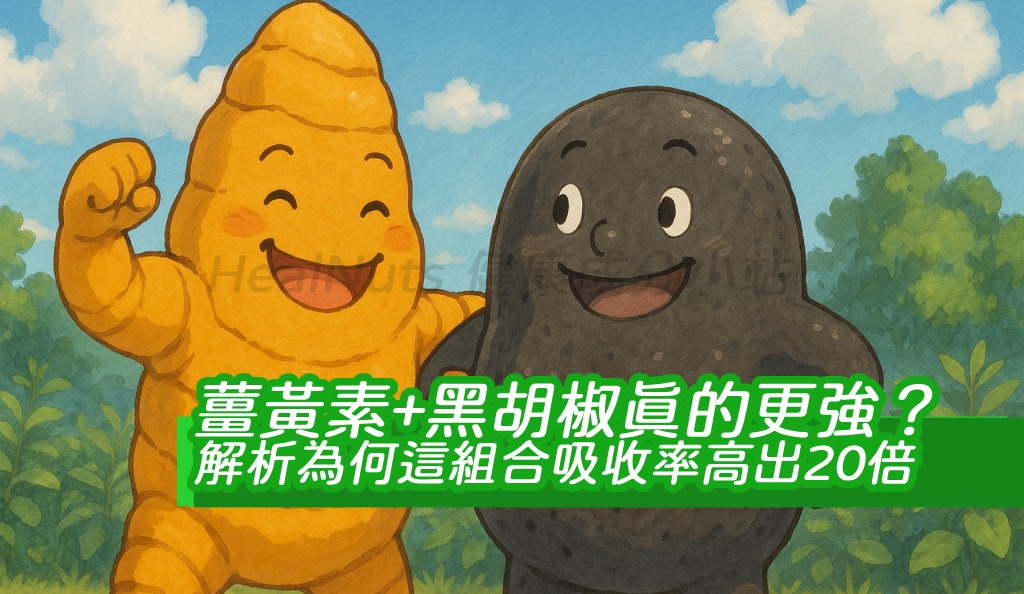薑黃素+黑胡椒真的更強？解析為何這組合吸收率高出20倍